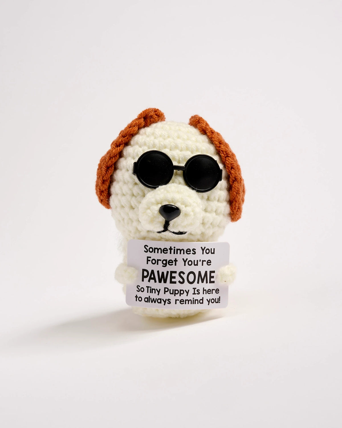Positive Dog
