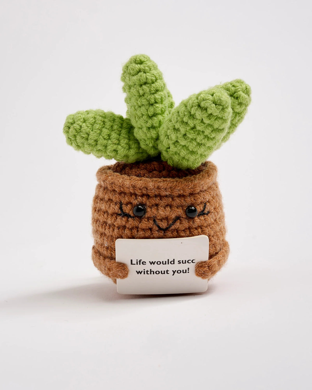 Positive Succulent