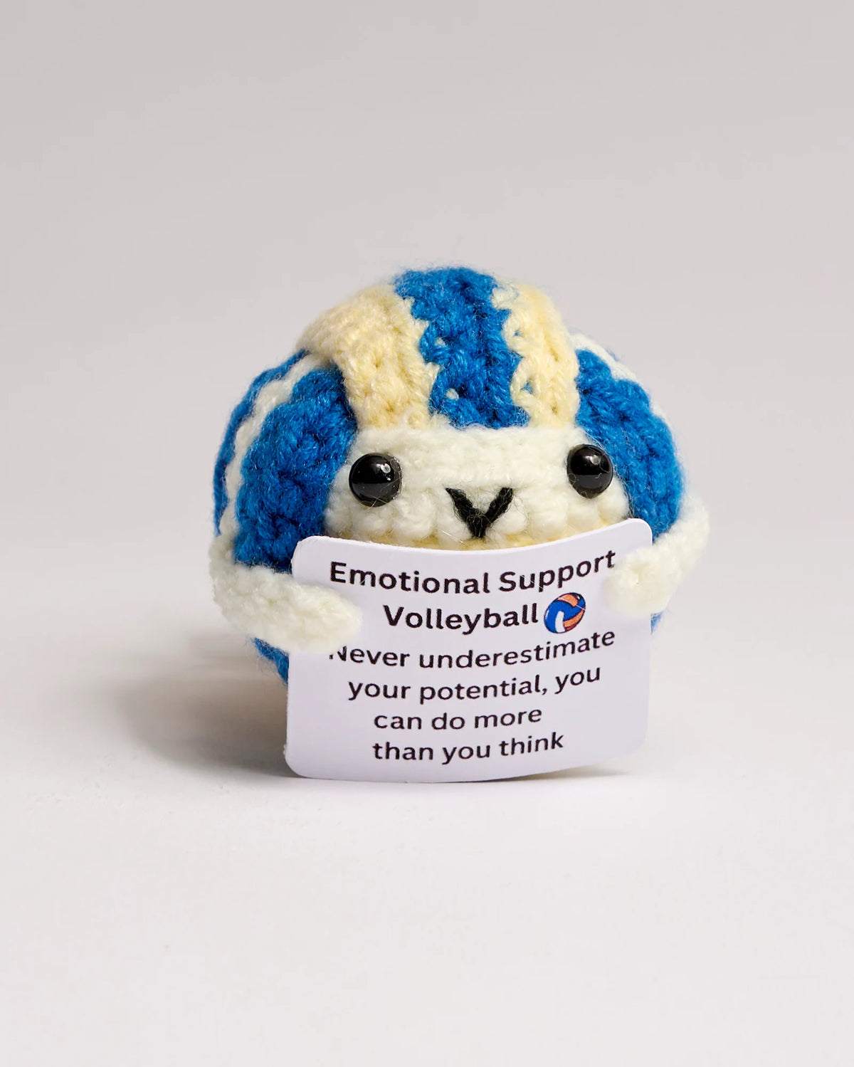 Positive Volleyball Buddy