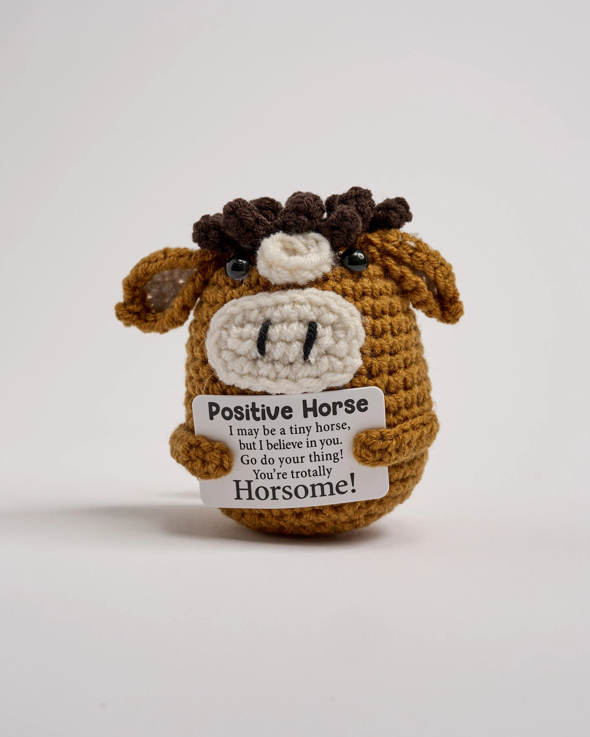Horse Encouragement Gift